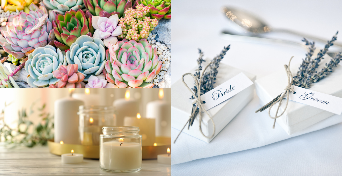 Collage of mini succulent plants, candles & wedding favours