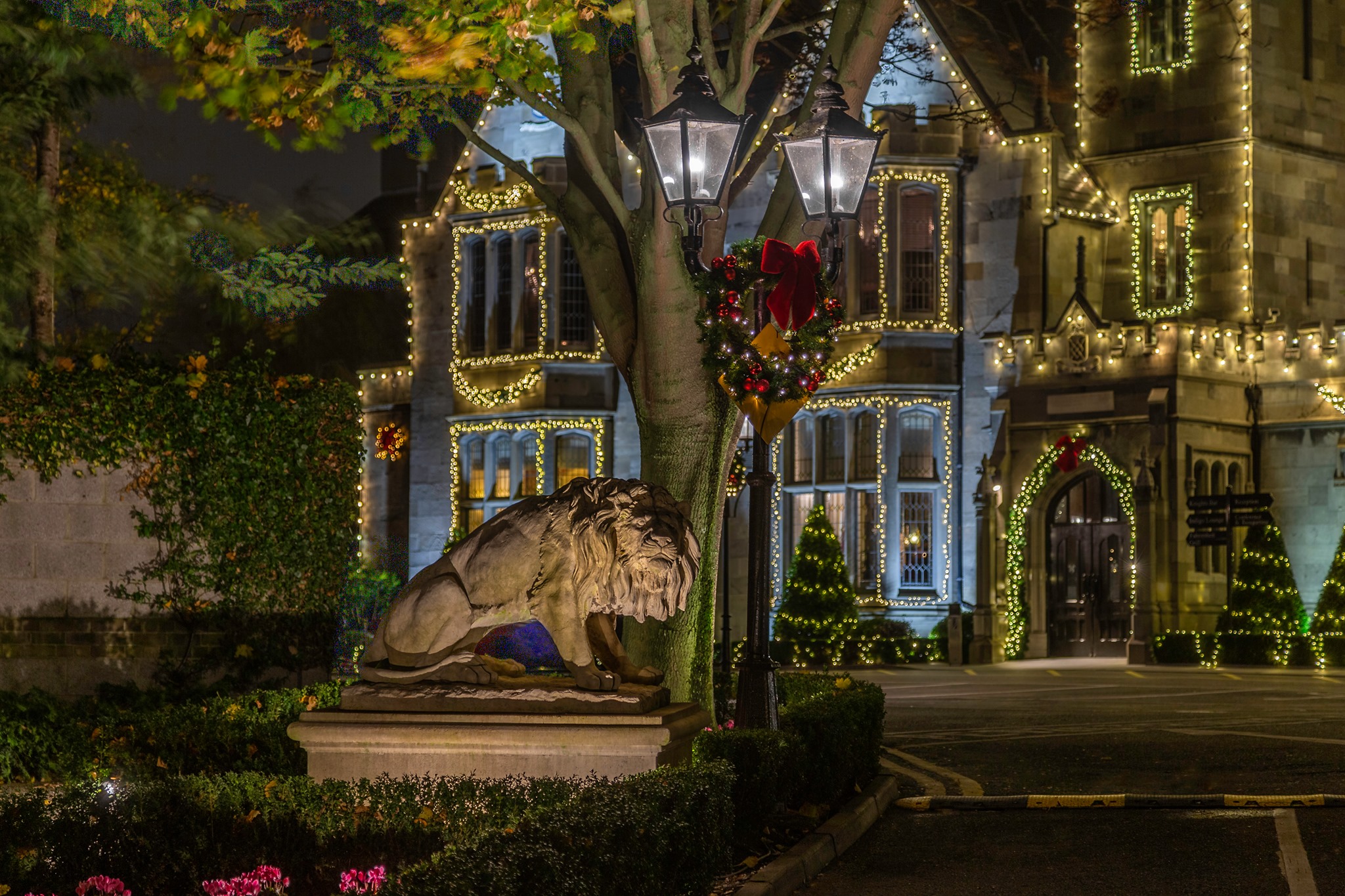 Christmas Lion at Clontarf Castle